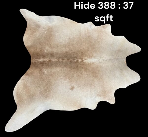 Natural Hair On Cow Hide : This Hide Is Perfect For Wall Hanging, Leather Rugs, Leather Upholstery & Leather Accessories. (Hide388)