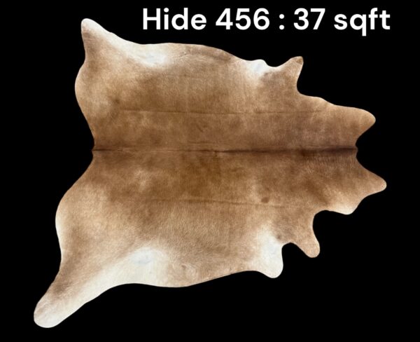 Natural Hair On Cow Hide : This Hide Is Perfect For Wall Hanging, Leather Rugs, Leather Upholstery & Leather Accessories. (Hide456)