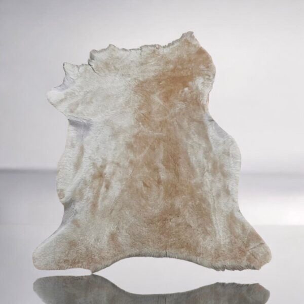 Small Merino Blonde : 8mm Straight Wool 8 Piece Sheepskin Bundle (Ref-gh.eol) - Image 2
