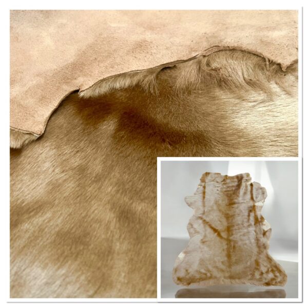Shaved Toscana Camel : 33 Piece Shearling Bundle With Suede Reverse (Ref-gh.eol)