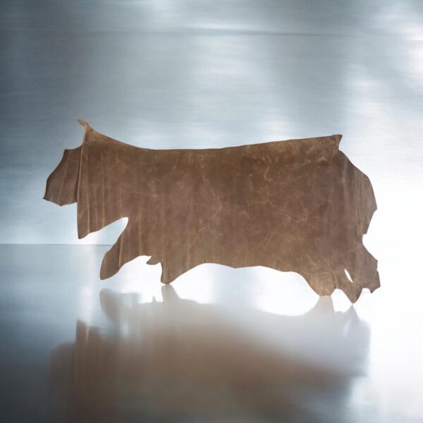 Chaplin Taupe Blaze : Smooth Semi-Firm Pull up Leather Cow Sides, 1.6-1.8mm (Ex Pittards Stock) - Image 2