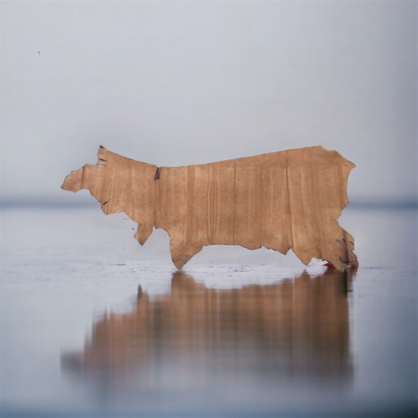 Rivendale Cider : Nubuck Leather Cow Side : 1.2-1.4mm (Ex Pittards Stock) - Image 2