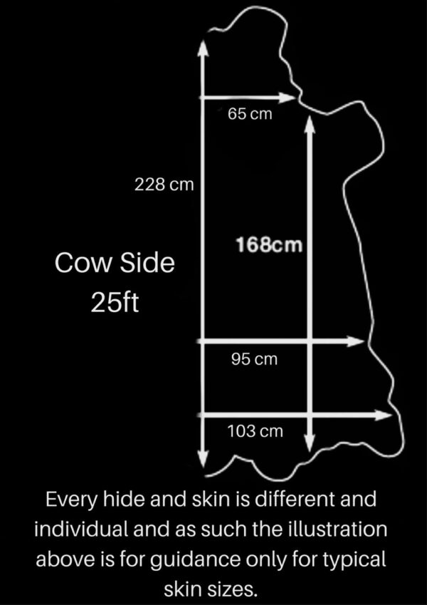 Smooth Grain Aniline Shiny Brown Cow Hide (Ref-gh.eol) - Image 3