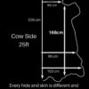 Daytona Stone  : Smooth Grain Cow Side  (0.9-1.1mm 2.5oz) 20 DISCONTINUED - Image 6
