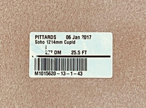 Soho Cupid : Nude Coloured Leather Cow Side : 1.2-1.4mm (Ex Pittards Stock) - Image 4