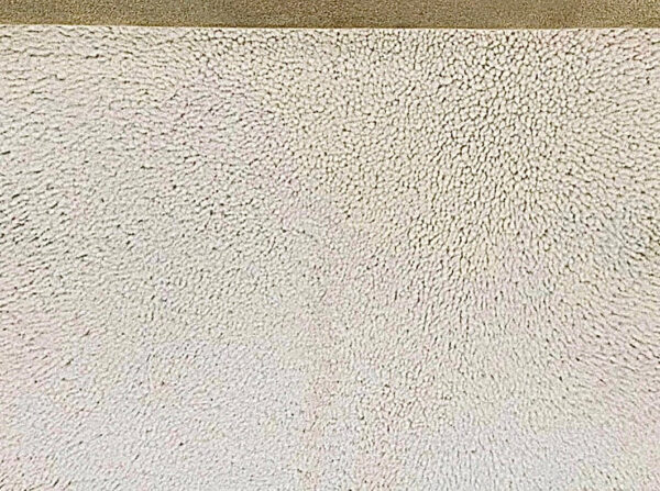 Beige Merino : 10mm Curly Collar Sheepskin (T/T) 6 - Image 3
