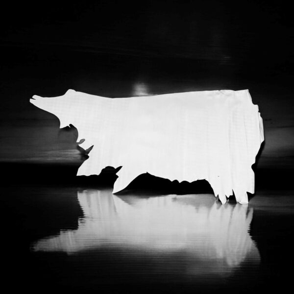 ECL Digital Pearl White, Printed Leather Cow Side : 1.4-1.6mm (Ex Pittards Stock) 25 - Image 2