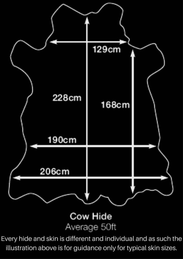 Smooth Grain Aniline Shiny Brown Cow Hide (Ref-gh.eol) - Image 4
