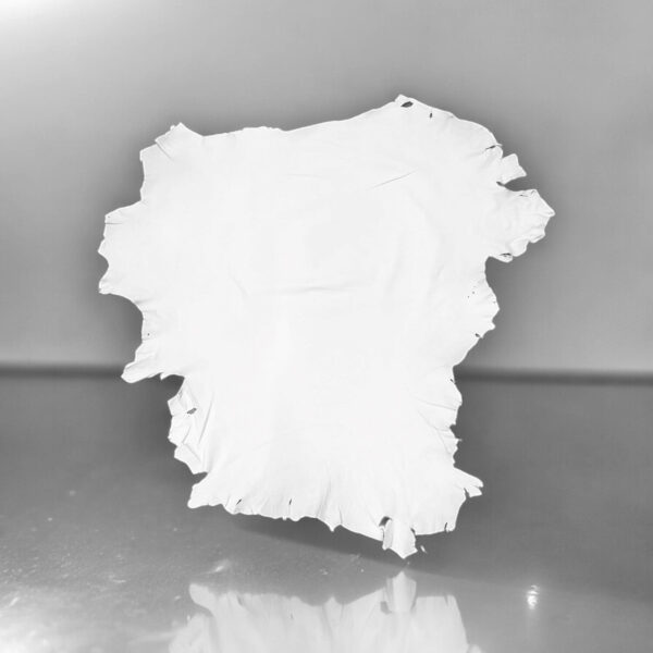 Pittards Gloving Leather White : 0.55mm Water Resistant Lambskin (Ex Pittards Stock) Wr100X.55WhiteB - Image 2