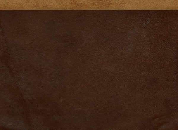 Rub-Off: Embossed Grain Leather Cow Hide Commonly used for Upholstering Chesterfield Sofas - Image 5