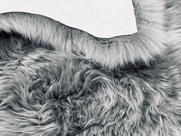 Grey Sheepskin Rugs: Premium Quality Sheepskin Rugs for any Room (65cm x 95cm) - Image 4