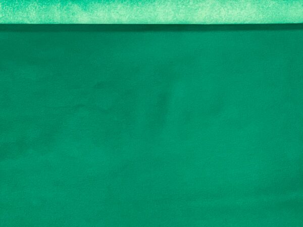 Valencia Green Fields, Leather Lambskin : Italian Lamb Nappa (0.6-0.7mm 1.5oz) 10 - Image 3