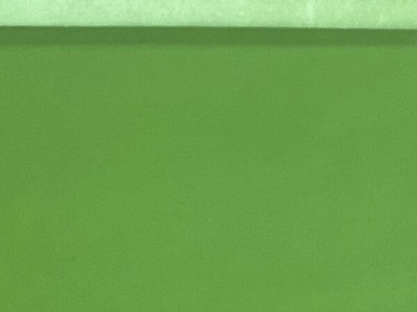 Valencia Spring Green, Leather Lambskin : Italian Lamb Nappa (0.6-0.7mm 1.5oz) 10 - Image 3