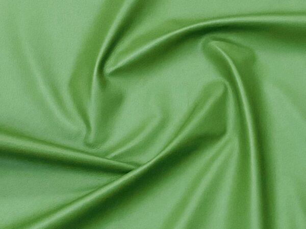 Valencia Spring Green, Leather Lambskin : Italian Lamb Nappa (0.6-0.7mm 1.5oz) 10 - Image 4