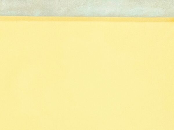 Valencia Lemon, Leather Lambskin : Italian Lamb Nappa (0.6-0.7mm 1.5oz) 10 - Image 3