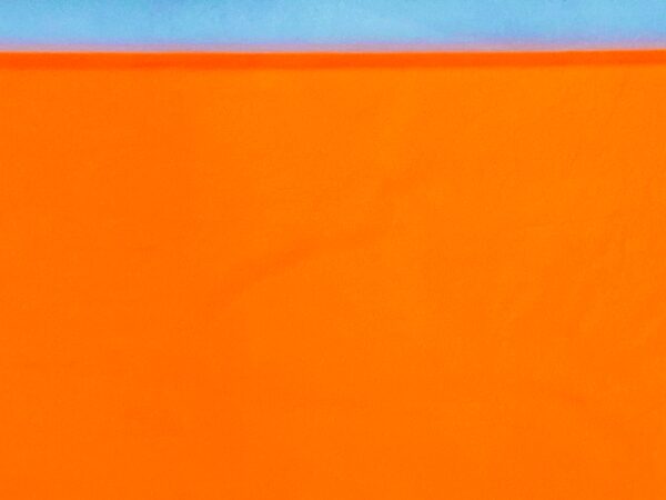 Neon Pumpkin Orange, Fluorescent Leather Lambskin : Italian Lamb Nappa (0.7-0.8mm 2oz) 9 Discontinued - Image 2