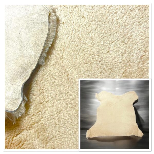 Ivory Merino :10mm Curly Wool 5 Piece Bundle with Suede Reverse (Ref-gh.eol) Bundle26