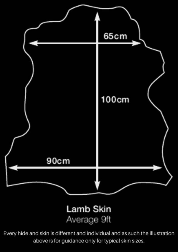 Valencia Ginger Green, Leather Lambskin : Italian Lamb Nappa (0.6-0.7mm 1.5oz) 10 - Image 5