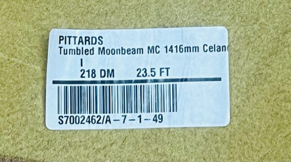 Tumbled Moonbeam MC Celandine: Semi-Firm Leather Cow Side with Printed Grain, 1.4-1.6mm (Ex Pittards Stock) - Image 4