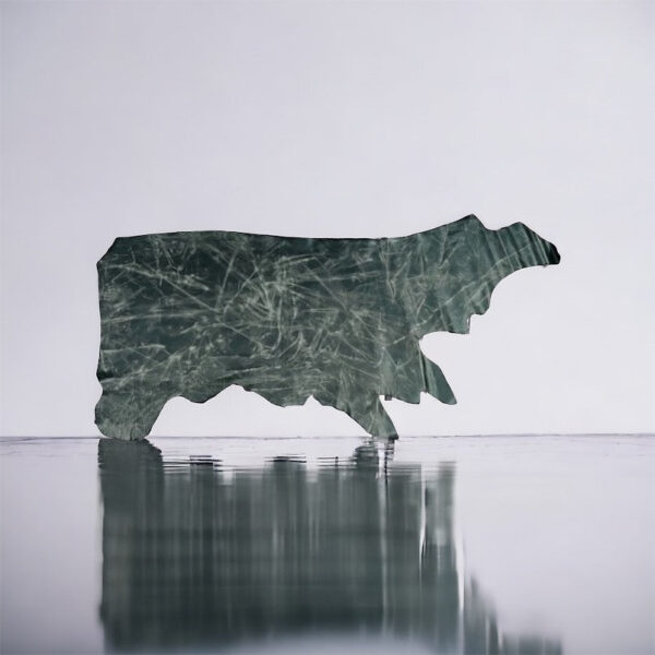 Peak Militia : Dark Green Pull-up Cow Sides, 1.6-1.8mm (Ex Pittards Stock) - Image 2