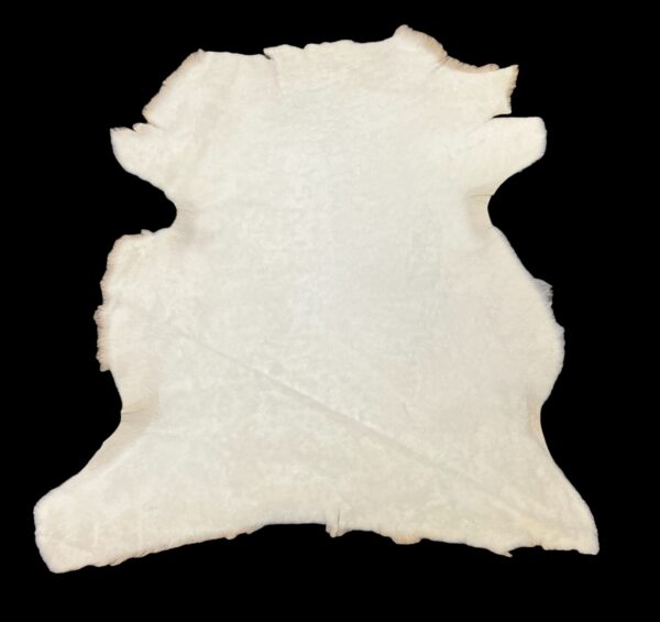 Shaved Toscana Pearl : 19 Piece Straight Wool Shearling Bundle (Ref-gh.eol) - Image 3