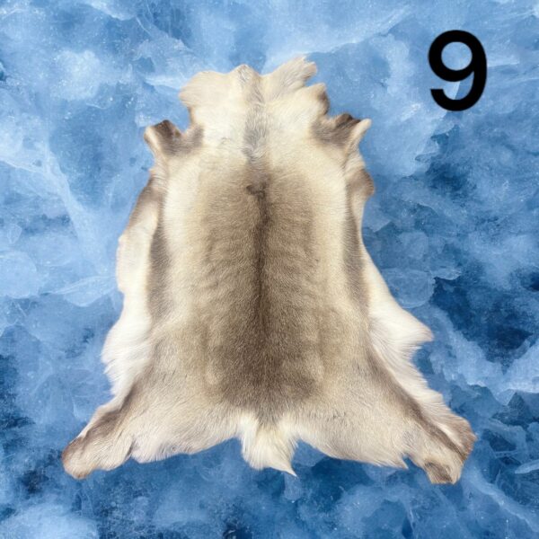 Natural Reindeer Hide (9)