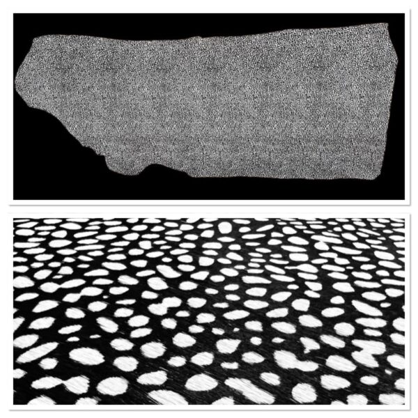 Hair-On Side : Cheetah Black With White Spots, Tight Print (1.2-1.4mm 3oz) 15 Discontinued