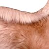 Rosa-Pink Sheepskin Rugs: Premium Quality Sheepskin Rugs for any Room (65cm x 95cm) - Image 4