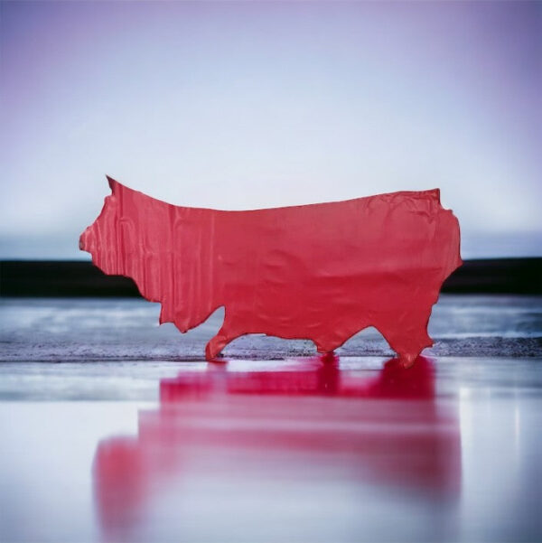 Serena Nappa Ruby-Red Cow Side : 1.2-1.4mm (Ex Pittards Stock) - Image 2