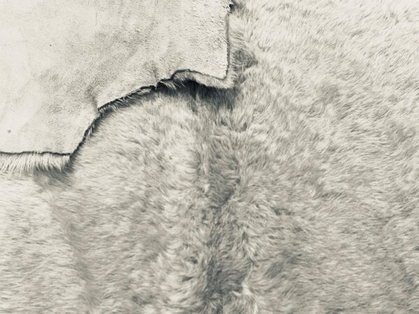 Small Merino Silver-Grey : 10mm Straight Wool 8 Piece Sheepskin Bundle (Ref-gh.eol) 16-09-24 - Image 3