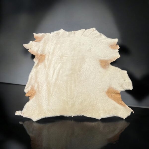 Small Merino Cream : 10mm Straight Wool 8 Piece Sheepskin Bundle (Ref-gh.eol) 13-09-24 - Image 2