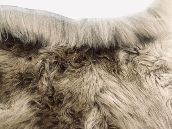 Taupe Sheepskin Rugs: Premium Quality Sheepskin Rugs for any Room (65cm x 95cm) - Image 4