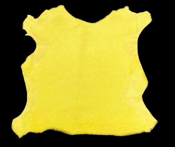 Small Merino Curly Yellow 8mm : 5 Piece Shearling Bundle - Image 3
