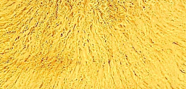 Yellow Mongolian Sheepskin Plate : (120cm L x 60cm W) Perfect As Rugs or Making Cushions and Garments. - Image 2