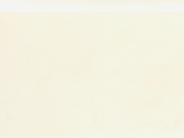Ecru, Pig Suede : (0.5-0.6mm 1.5oz) 15 - Image 4
