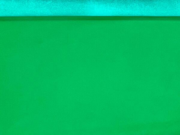 Valencia Ginger Green, Leather Lambskin : Italian Lamb Nappa (0.6-0.7mm 1.5oz) 10 - Image 3