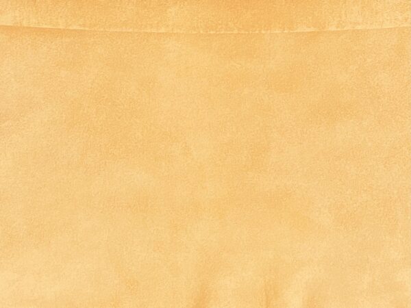 Beige, Goat Suede : (0.5-0.6mm 1.5oz) 5 - Image 4