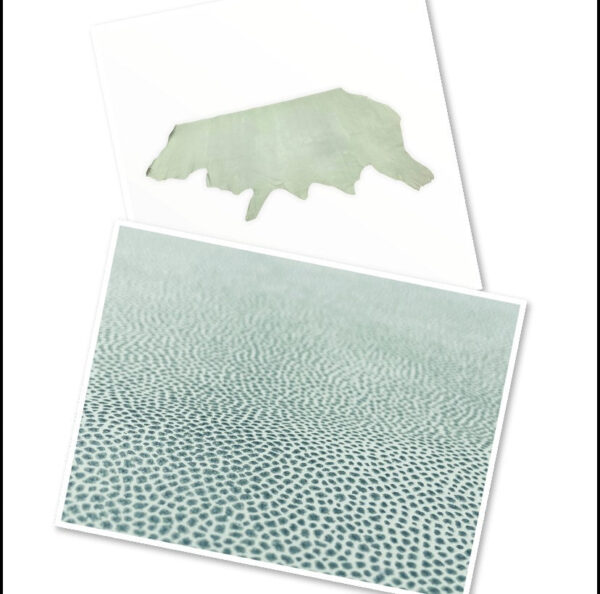 Printed Grain, Cow Side, Variants : 1.2mm 3oz (Ref-gh.eol) - Image 11